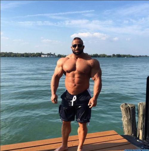 needsize:  Filling in during the offseason.Fouad Abiad