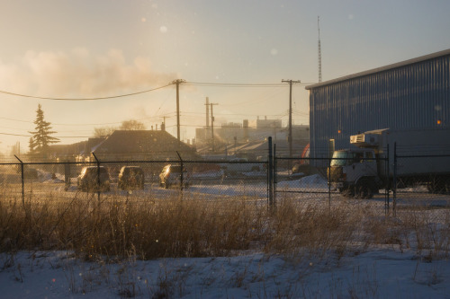 bryandscott: Morning fog.