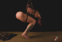 ropesession:  Free Play with tykarsRopes : Docvale http://ropesession.com/ 