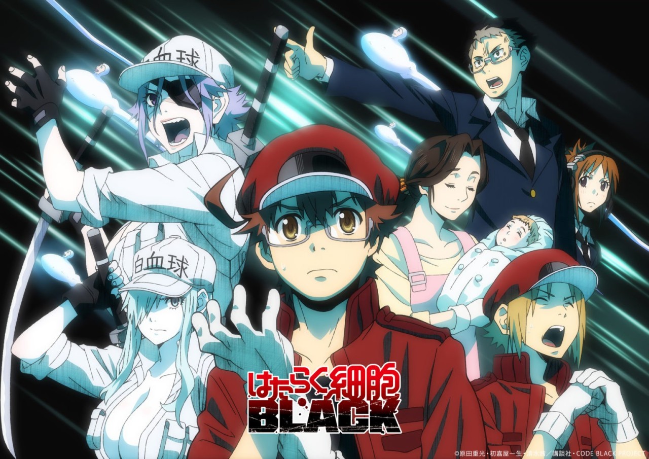 A Little Of Everything Hataraku Saibou Black Gets A Double Episode Next A Little Of Everything Hataraku Saibou Black Gets A Double Episode Next