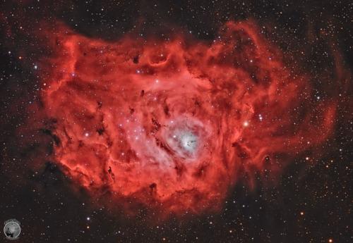 The Lagoon Nebula is Stars, Gas, and Dust : The majestic Lagoon Nebula is filled with hot gas and th