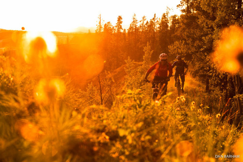 chirosangaku: Photo of the Day: Dan Barham - February 17, 2014