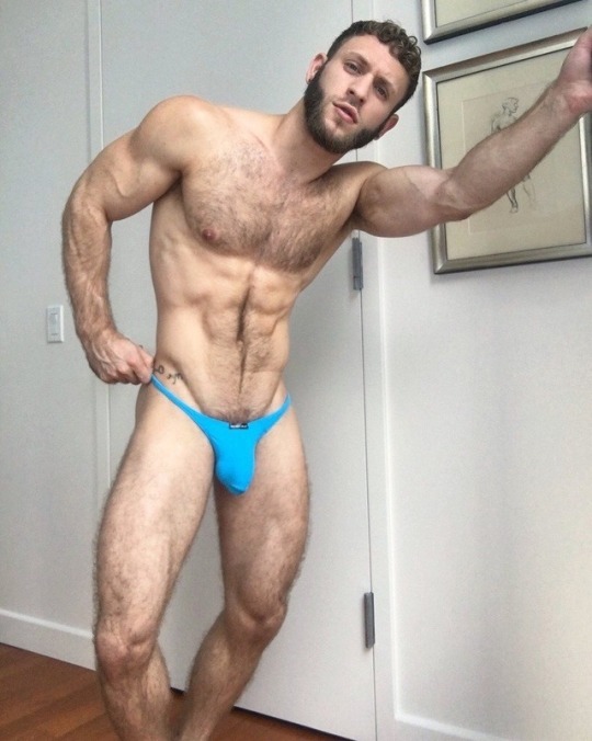 Dads, Bears, & Studs