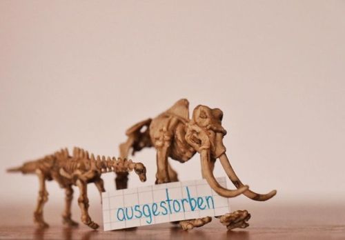 So dead right now.
ausgestorben - extinct
.
.
.
#dailydeutsch #learngerman #deutschlernen #deutschkurs #germanclass #ausgestorben #extinct (at Berlin, Germany)
https://www.instagram.com/p/BylPvxlnMTw/?igshid=1isfushdszmy