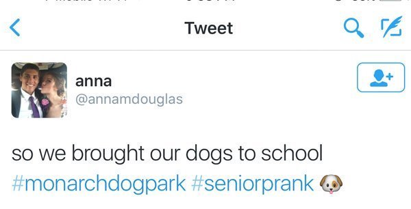 babyanimalgifs:  my type of senior prankmore baby animals here