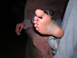 sinfulveritytoes:Foot worshipping and foot