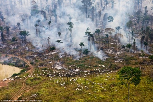  27 Images That Prove The End Is Near ….  (part 1)