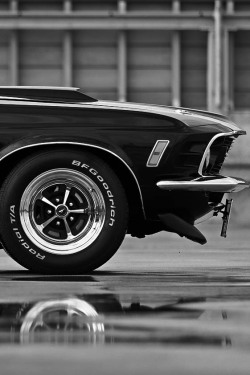 Muscle Car Dreaming