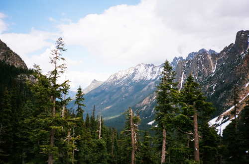 eartheld:  torreymerrittphotography:  35mm  mostly nature