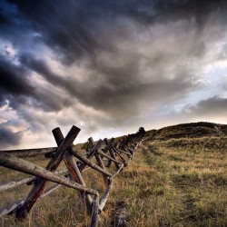 Tylerknott:  I Need Between Us Less Fences And Less Hills. Less Space And Less Sky.