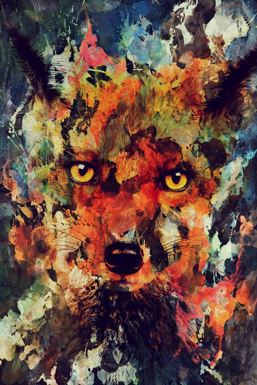 Animal Portraits By Andreas Lie