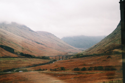 jacindaelena:  Angélica Vis || Scotland