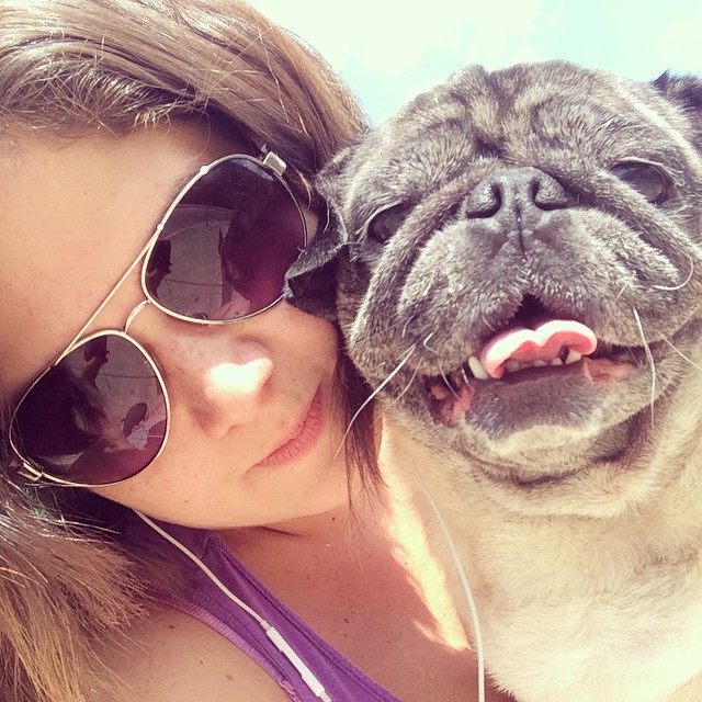 ilovepugs4ever:  Follow Dog Quotes. 