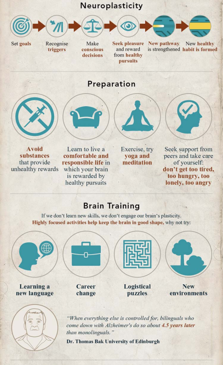 Rewiring The Brain | American Infographic