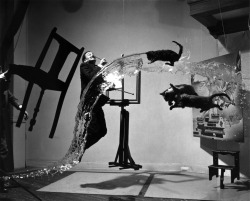 peligrosolove:  Mr. Salvador Dalí with his art and cats. Dali Atomicus, photo by Philippe Halsman (1948) 