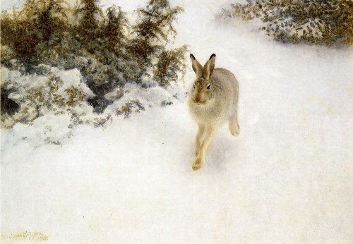 Winter Hare, Bruno Liljefors, 1908