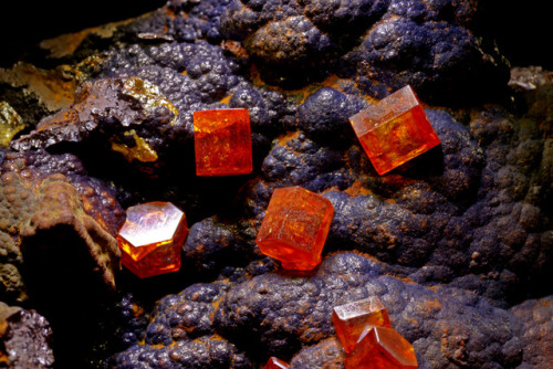 hematitehearts:Vanadinite and Goethite Locality: Taouz, Er Rachidia Province, Meknès-Tafilalet Regio