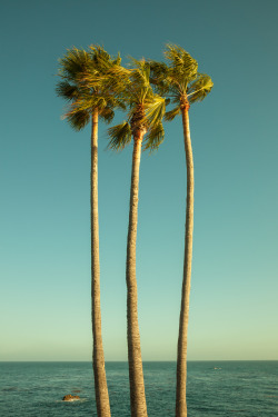 Lvndcity:  A Summer Day Dream By Beth D. Yeaw Photography | Flickr Ca, Us 