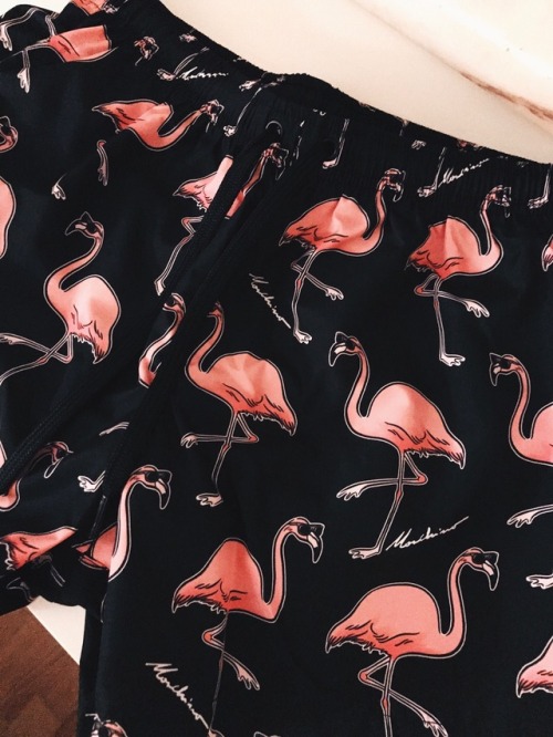 Flamingo love ❤️