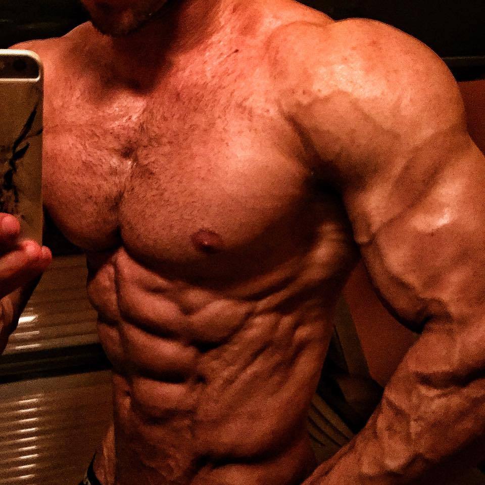Adonis Files