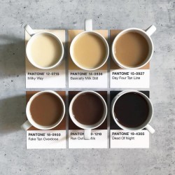 the coffee atlas