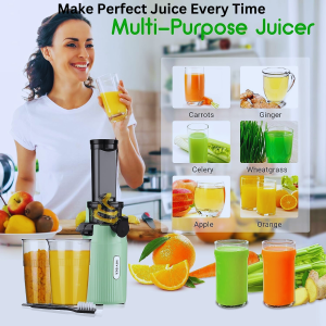 Make Perfect Juice Every Time Expert Tips On Electrical Blender