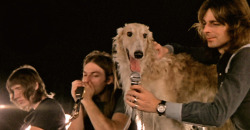 narciii:noodle-dragon:  eencrawford:  look at this cool borzoi hanging out with some white dudes  lol that’s Pink Floyd  What a great name for a borzoi