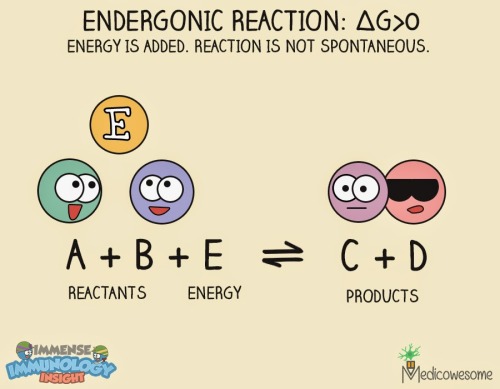 The first law of thermodynamics is very famous. It says, &ldquo;Energy can neither be created nor be