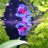verrucosus:quit staring at me with those big ol eyes
