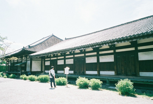 元興寺 3枚目は、日本最古・飛鳥時代の瓦を撮ったもの。 遥かな時を超えて、実際目の前にすると、とても不思議な気持ちになるのでした。