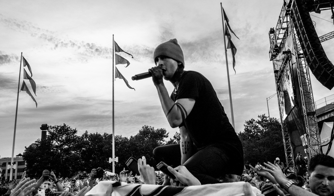 twenyonepilots:  |you should take my life-you should take my soul/