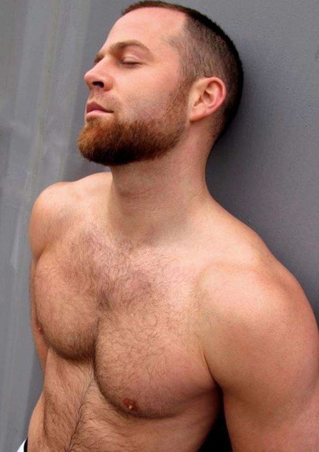 hi