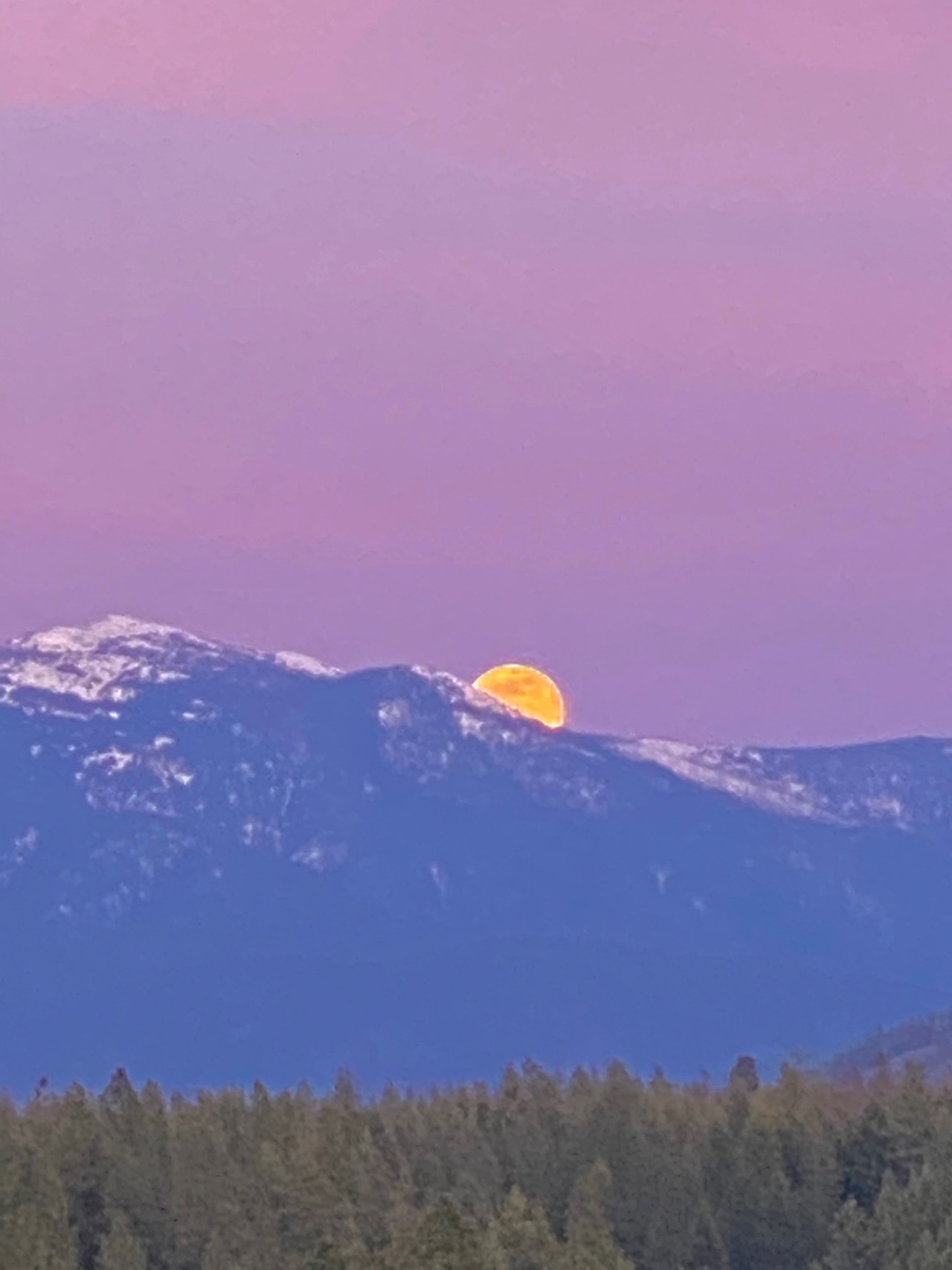 XXX softwaring:Super pink moonrise tonight over photo