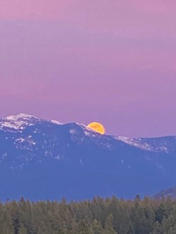 Sex softwaring:Super pink moonrise tonight over pictures