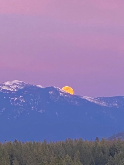 Porn softwaring:Super pink moonrise tonight over photos