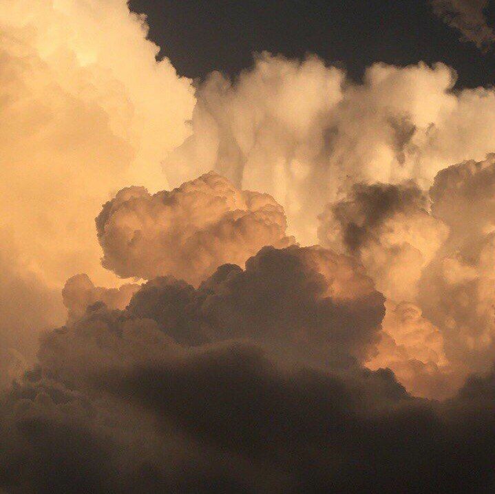 Brown Aesthetic On Tumblr Brown Aesthetic On Tumblr