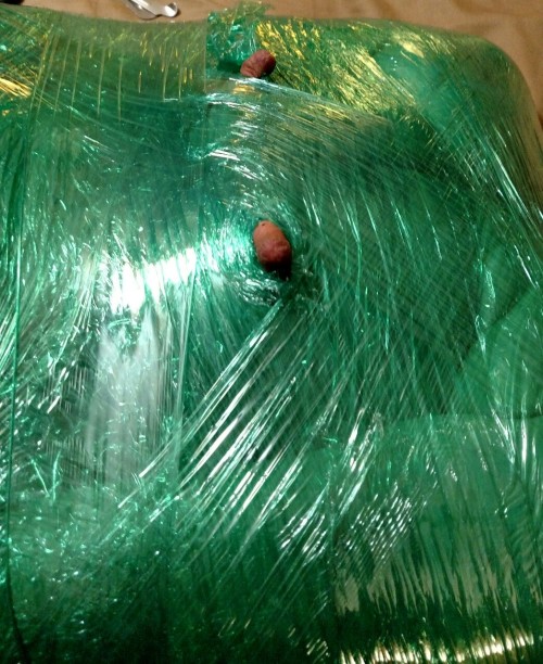 mycheekypet: After wrapping Pet in saran wrap, I peeled away layers and her nipples popped out. I us