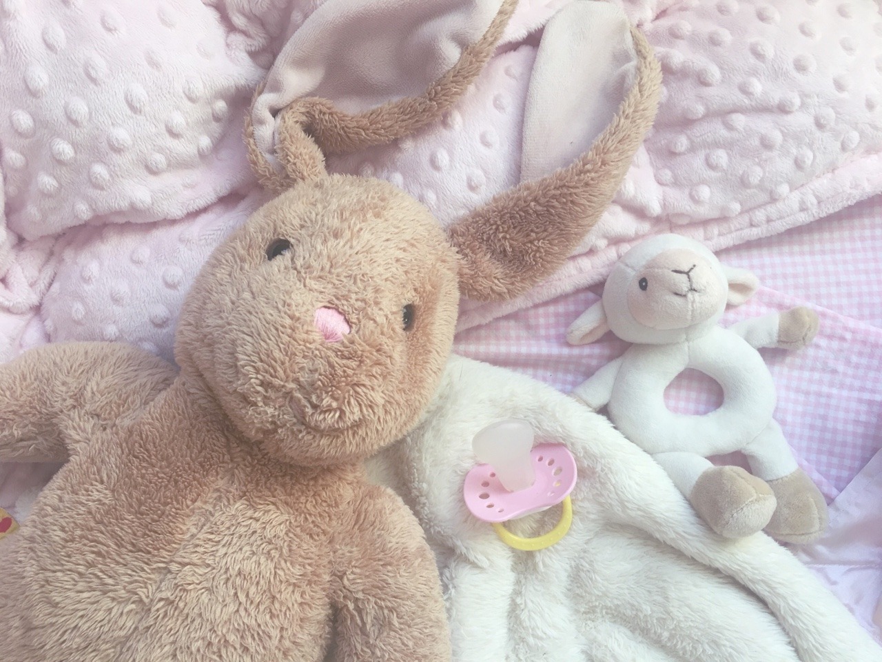 cloudninebrat:quite winter mornings as the sun begins to shine ʚїɞ