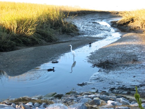 Pictures from around Portland, Maine: Back Cove and Crescent Beach.