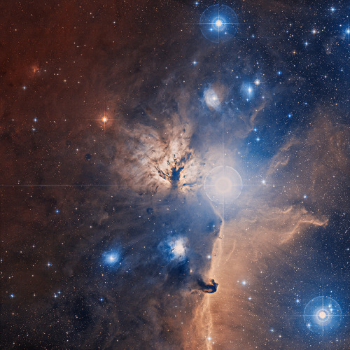 distant-traveller: Inside the Flame nebula The Flame Nebula stands out in this optical image of