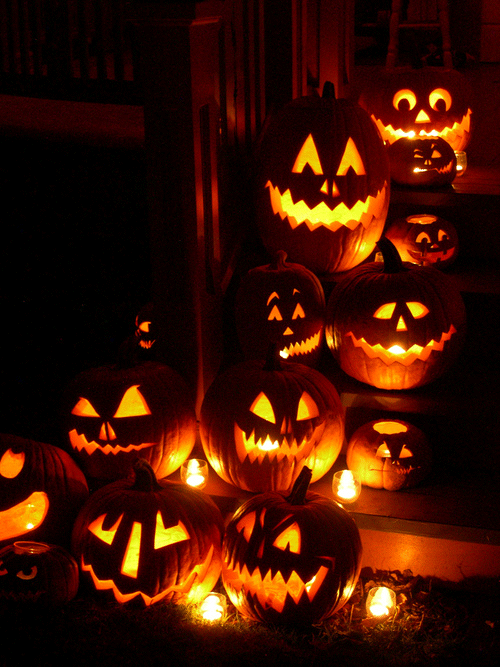 XXX horrorpunk:  Ten of my most reblogged pumpkin photo