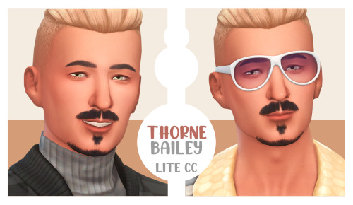 THORNE BAILEY - TOWNIES MAKEOVER (LITE CC)Origin ID: MagalhaesSims (remember to enable custom conten