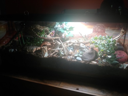 Haloke’s tank. Took some things out, added some things in. If you look really closely on the r