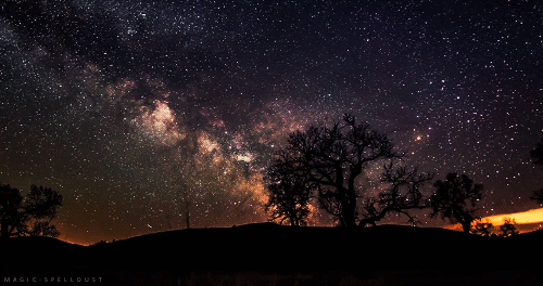 magic-spelldust:  in case you need a wish tonight | credit: magic-spelldust 