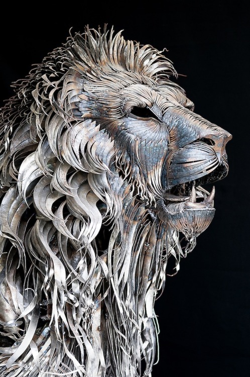 wasbella102:  “Istanbul-based Turkish sculptor Selçuk Yılmaz has constructed a 6-foot-tall, 10-foot-long majestic lion out of nearly 4,000 pieces of scrap metal that is aptly dubbed Aslan (Lion). Taking close to a year to complete the incredible