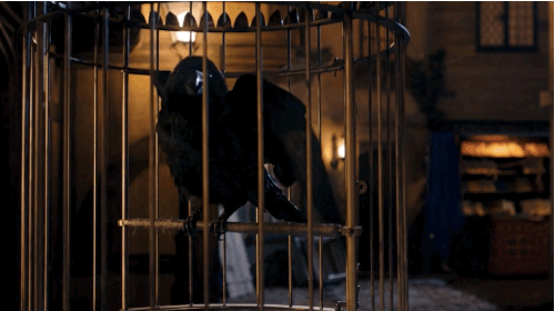flibbertigibbet-polymath:   You’re going to be alone now, and you’re very bad