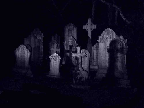 we all see beauty in evil