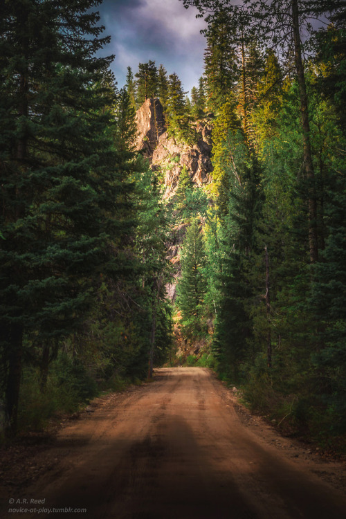 novice-at-play:  “My soul can find no staircase to Heaven unless it be through Earth’s loveliness.” 
