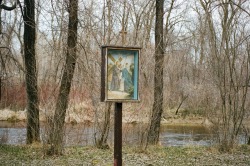 goldenprairies: forest art