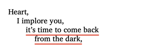 Mary Oliver, From Summer Morning, Red Bird